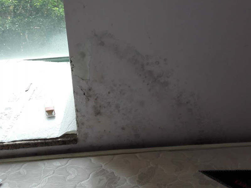 墻面起霉維修：墻壁起霉的處理：打磨、修補、刷防水涂料。
1、用砂紙打磨干凈，如果有脫層，用鏟刀處理平整；
2、如果墻面不平整，需要用膩子修補平整；如果墻面比較平整，建議先涂刷封閉底漆，然后再刷乳膠漆。
3、為了防止后期墻面再次發(fā)霉，建議再刷一層防水涂料、乳膠漆等。