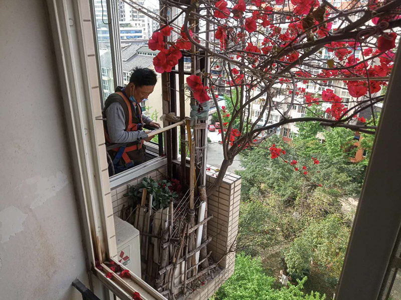 陽臺植物拆除:將陽臺和客廳打通。很多人想擴大自家客廳面積，改善采光情況，因此就選擇打通陽臺和客廳，這并不是完全不行的，但是要考慮戶型的實際情況。有的戶型陽臺的墻是用來抗震的，如果拆掉，短期看不出問題，但是長期使用必然會影響房子的承載能力，遇到嚴重災禍的時候，就完全無法抵抗了。