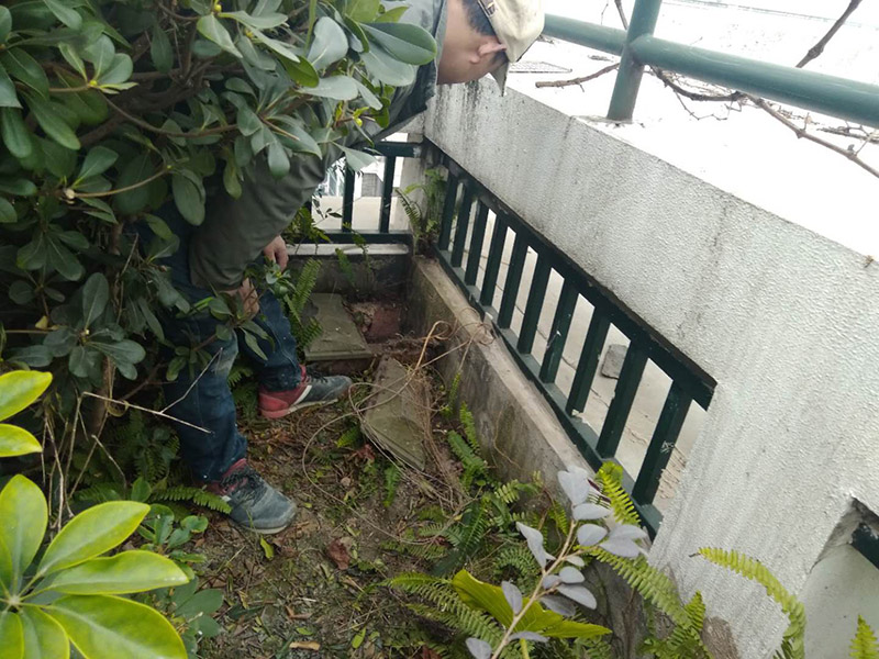屋頂露臺看現場：如果防水師傅沒有檢驗基層，直接就刷防水涂料的話，那么基層比較差，后期肯定會發生滲漏問題的。當然，有的朋友會說，即便發生這種情況，后果也是該師傅來承擔的。但事實上，真的沒有人會希望發生問題，畢竟在出現問題之后，會給自己生活帶來很大的麻煩。