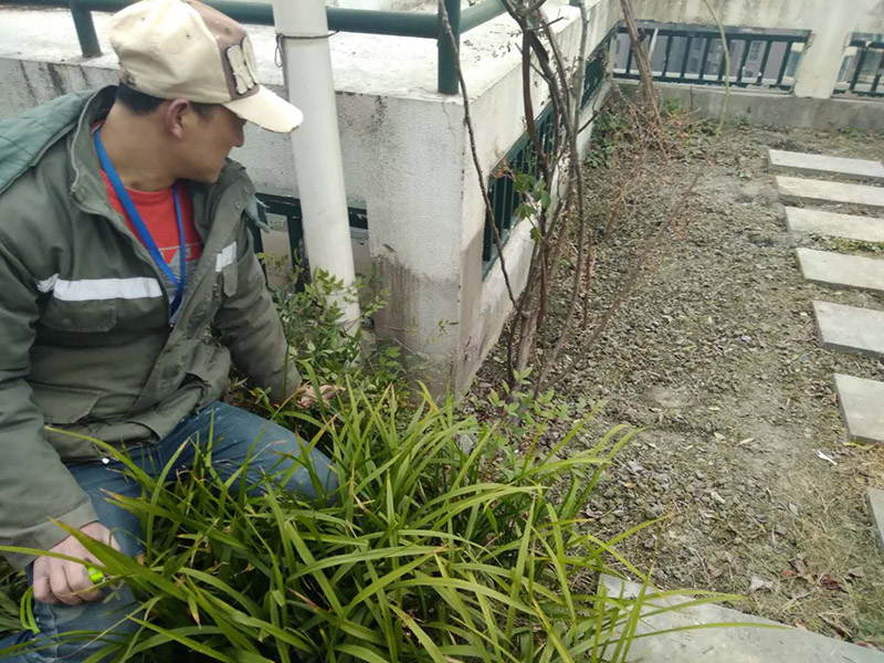 屋頂露臺看現場：如果防水師傅沒有檢驗基層，直接就刷防水涂料的話，那么基層比較差，后期肯定會發生滲漏問題的。當然，有的朋友會說，即便發生這種情況，后果也是該師傅來承擔的。但事實上，真的沒有人會希望發生問題，畢竟在出現問題之后，會給自己生活帶來很大的麻煩。
