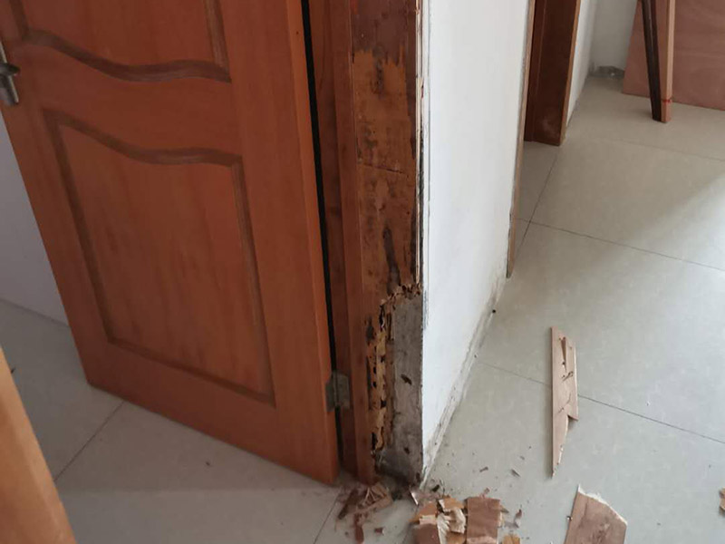臥室門框維修：1.漆面表面劃傷用bai一只顏色與家具相同的普du通的繪圖用蠟筆，在劃痕zhi上劃一劃，使其與周邊漆面dao高度相同，再薄薄地涂上一層透明的清漆就可以了；2.油漆剝落修復(fù)，清漆家具表面小塊油漆剝落后可取同色廣告顏料涂補(bǔ)，再用清漆涂在表面，即完好如初3.裂縫填補(bǔ)用油灰和顏料拌勻后嵌入堵平，但要注意顏料要和原油灰的顏料、原油漆色彩一致，以防留下疤跡