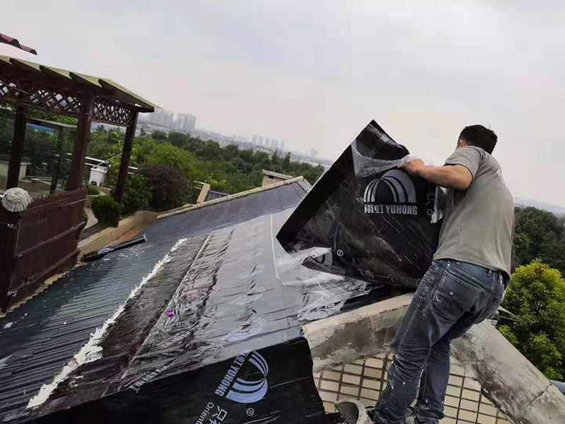 海口專業補漏公司好還是街邊游擊隊好