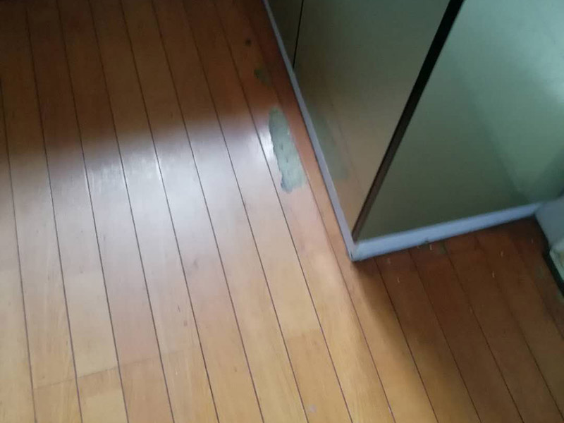 地板局部維修翻新：起下需替換的地板。用一字螺絲刀即將替換的地板短邊處鑿出一個1厘米長的縫隙,再用曲線鋸將需替換的地板表面鋸成十字形的鋸縫;然后將分紅四小片的地板取出。 整理膠水。用鋼鋸條整理原接口殘留的膠水,并確保整理好的榫槽便于裝置,假如整理不完全,接縫會不平或不嚴。能夠用有新榫頭小片地板在接口上來回滑動,找出殘留膠跡并鏟除,使修正后的地板漂亮。