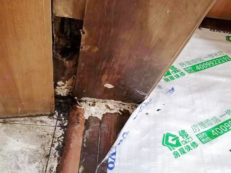 周口木門翻新哪里找專業師傅，木門翻新工藝是怎樣的