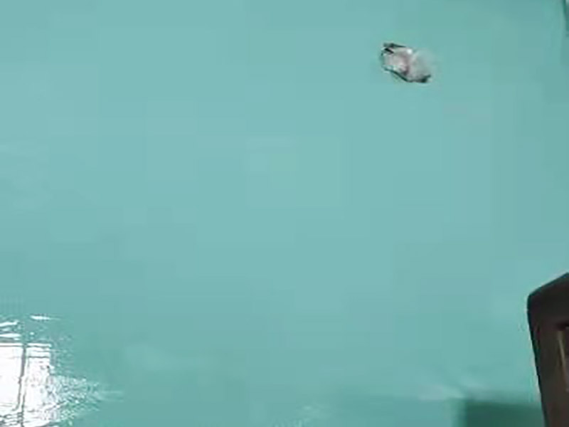 衛(wèi)生間防水貼磚裝修:首先就要搞清楚，防水不是只做一遍就可以的。一般的防水施工要做2到3遍，而且防水的順序也是有講究的，比如，要先做完墻面防水再貼墻磚，其次才可以做地面防水，再貼地磚。因?yàn)榈孛娼?jīng)常會踩來踩去，地面防水如果先做了會很容易踩壞。