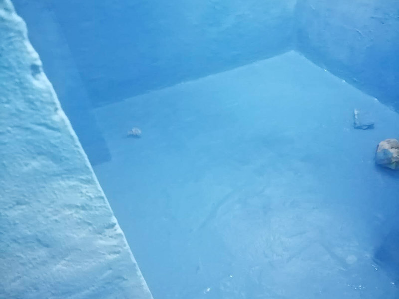衛生間防水維修: 鏟除原有的墻磚和地磚，這個步驟主要是針對老房二次裝修的，如果是新房可以跳過這個步驟，一般使用灰刀就可以，刮板也可以將原有的地磚鏟除掉。墻面將水電改造開槽用水泥封堵基層清理，細部附加層施工，在管根、地漏、陰陽角、等容易漏水的薄弱部位均勻涂刷，涂刷防水涂料兩遍，縱向橫向各涂刷一遍，做保護層，待防水干燥后放水做48小時閉水試驗。