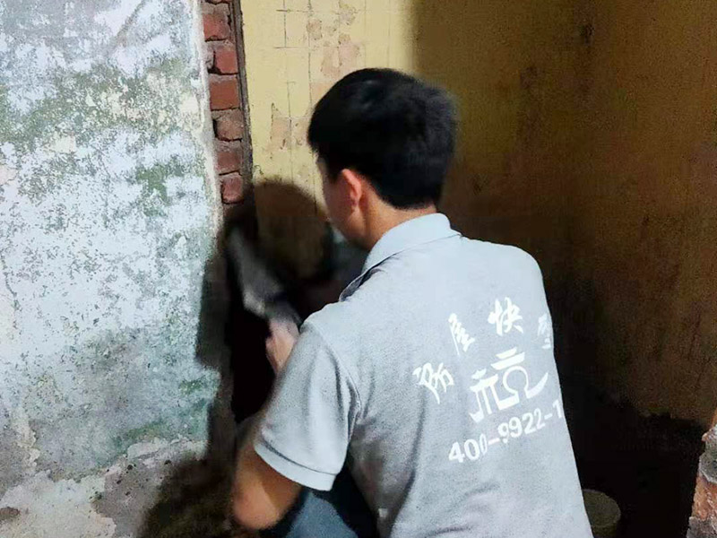墻面抹水泥找平:步驟一：清理墻面；把墻面起皮和裂縫位置處理干凈，并用水泥砂漿補抹好，把殘留的灰渣鏟除干凈，然后把墻面清理干凈。需要注意的是：如果墻面吸水性比較強，要先用清水濕潤或是噴刷膠水做封底處理。  步驟二：第一遍刮膩子；水泥抹面的墻面最好配制底料，不僅能降低工程造價，還可以提高施工的質量。 步驟三：第二遍刮膩子；第一遍墻體干透后，可以上第二遍膩子進一步刮平。但是第二遍的膩子調兌不易過稀，它的含水量別過大，要保證第二遍膩子刮涂后的水分盡快被第一遍的膩子吸收，只有等到墻面水分減少到一定程度后方才可進