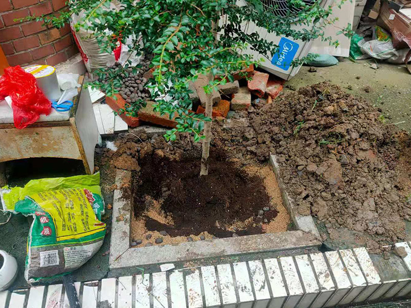 庭院植物底部防水：找到本來的防水層，由于防水層不是顯露的，是在面層下部，有必要將面層進行悉數根除，找到本來的防水層。將原防水層根除以后，找平，將本來下部保溫層里存的水進行排干，設一些排氣孔做排氣辦法，將保溫層里的水分排干。做完防水層以后，必定要做找坡處理，不要形成屋面部分存水，通常設置水泥砂漿找平找坡，找坡的斜度不小于3%。再進行閉水實驗，不漏水為合格，再進行康復上面的維護及鋪貼面磚裝修。