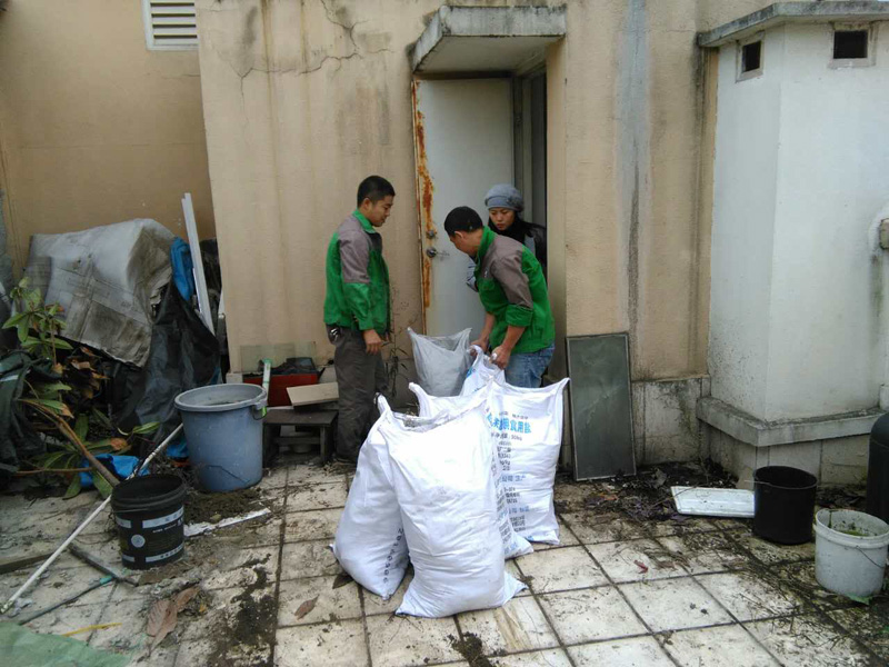 花園改造注意事項，警惕植物根系穿刺防